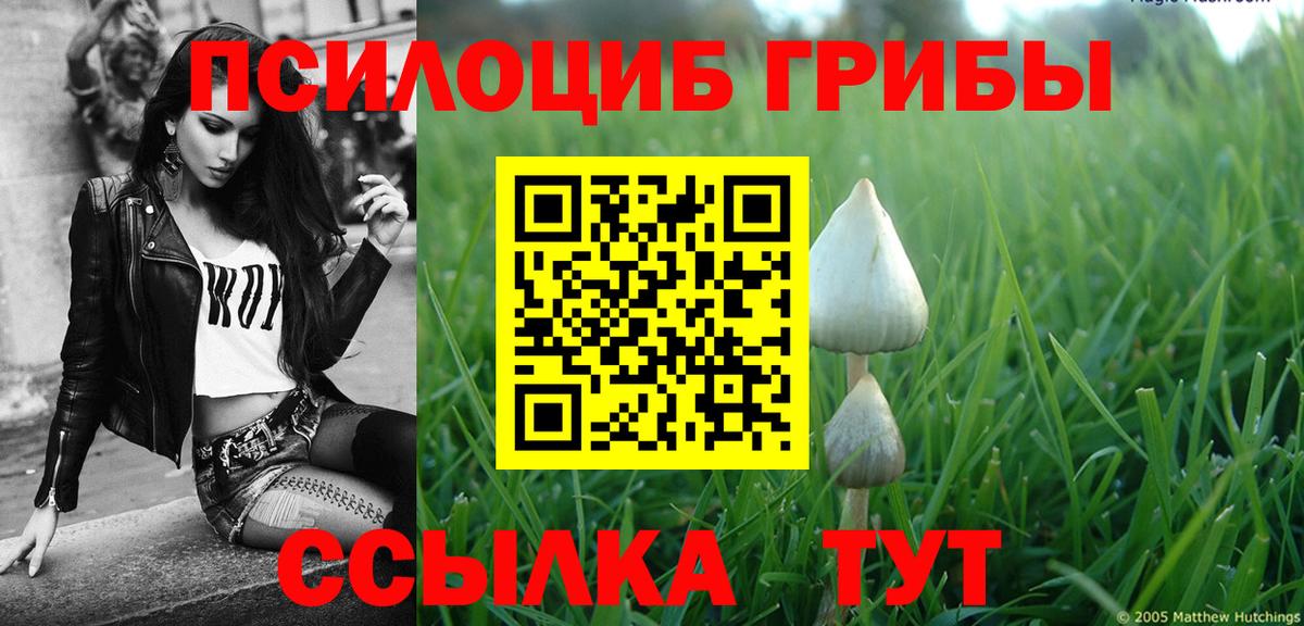 Курган  наркота  Вход с VPN  Псилоцибиновые грибы ЛСД 